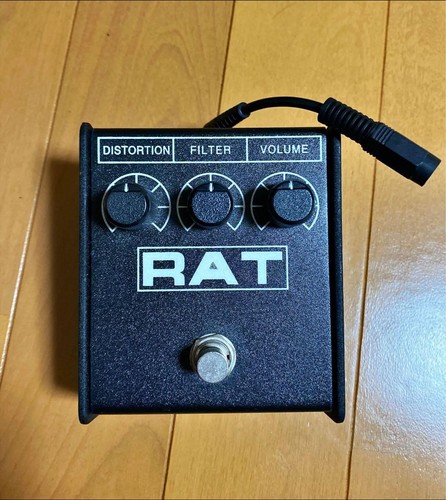 Proco rat - proco,