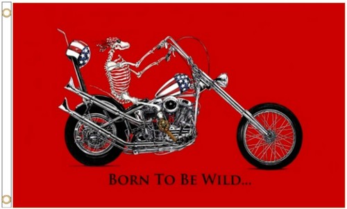Skelett biker born wild - skelett,
