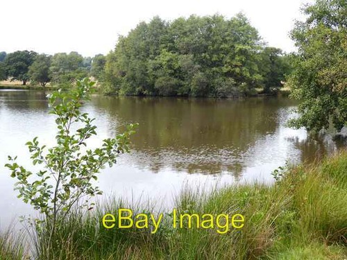 Foto 6x4 lower pond petworth - foto, pond,