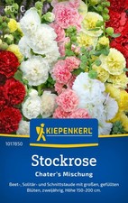 Kiepenkerl Stockrose Chater’s Mix, für ca 50 Pflanzen - bunte Schnitt-Mischung
