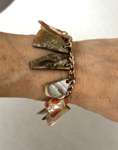 1970 vintage abalone shell - vintage,