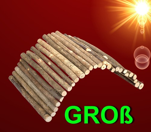Nager große natur - 🐹🐇,