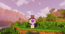 Minecraft  Purple Heart Twitch
