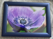 Bilderrahmen Alu Fabr. Goldy, 25 x 33 cm, Foto Poster Rahmen, Geschenkidee