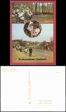 Drebach (Erzgebirge)