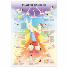 Anatomisches Mini-Poster "Pilates Basic 10", LxB 34x24 cm
