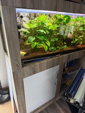 Aquarium mit Unterschrank