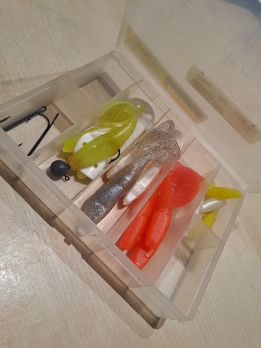 Gummifisch box anfänger - gummifisch,
