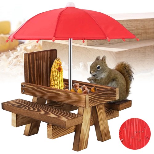 Eichhörnchen futterhaus - eichhörnchen,