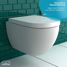 Alpenberger Wand Dusch WC