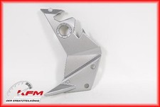 Kawasaki Z750 Verkleidung