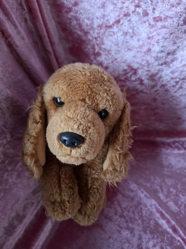 Vintage hund cocker - vintage,