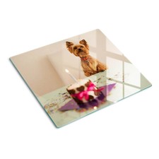 Glas-Herdabdeckplatte