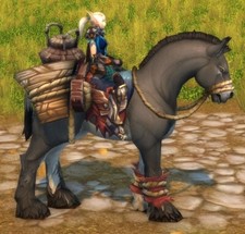 WoW Mount Durchgekaute Zügel