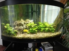 Juwel Eckaquarium 350Liter mit Unterschrank un Beleuchtung