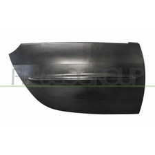 Tür Karosserie Prasco