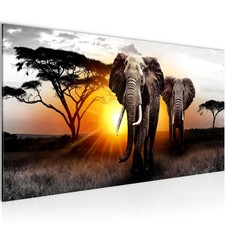 Wandbild afrika bilder xxl - afrika,