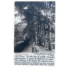 Ansichtskarte AK Berlin Tiergarten Zoo Gelaufen 1904 Kinderwagen