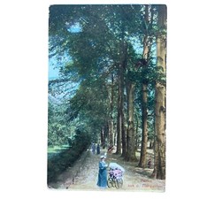 Ansichtskarte AK Berlin Tiergarten Zoo Ungelaufen Partie Kinderwagen