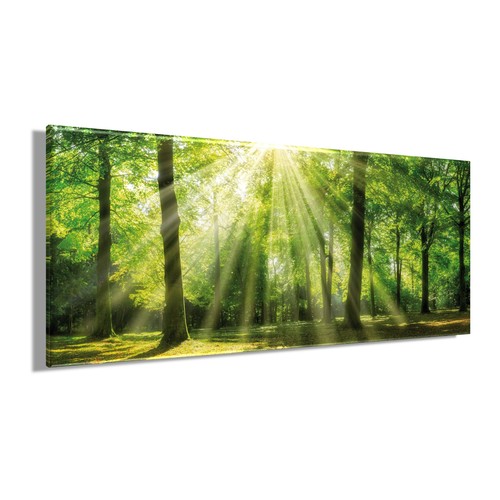 Wandbild wald xxl 60x140 - wald,