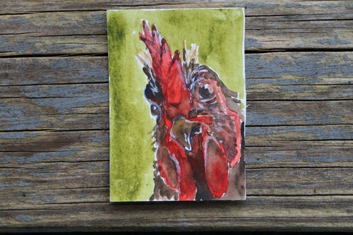 Huhnrike aquarell huhn - huhn, |