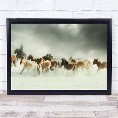 Pferde galopp reiter - reiter,