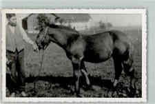 13177708 - 8957 Unterthingau