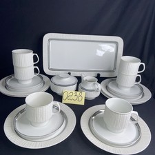 Thomas Porzellan Arcta Borkenrand Platinrand 6 Gedenken 21 Teil. 