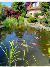 EPDM Teichfolie  10,65 Euro/m² inkl. Versand