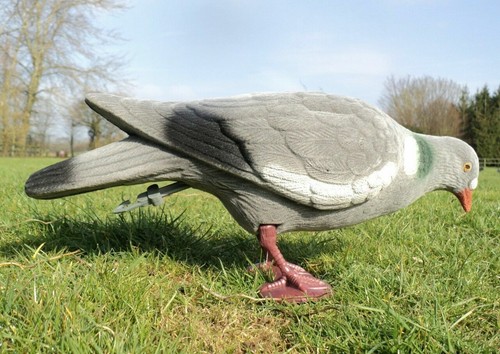 Beflockter taubenköder - beflockter,