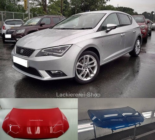 Motorhaube lackiert - lackiert, in