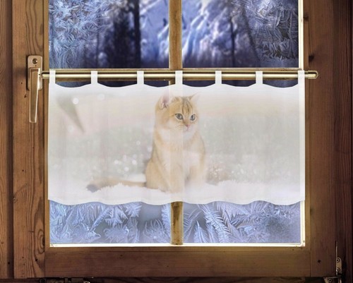 Scheibengardine katze - scheibengardine,