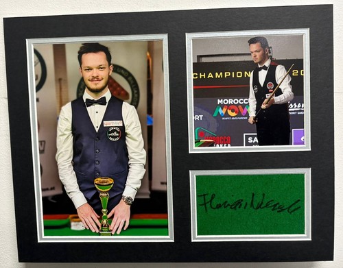 Profi snooker spieler florian - profi,