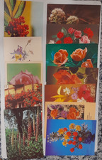 35 AK, Postkarten, Konvolut /