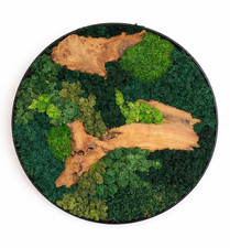 Moosbild Mooswand 40cm l