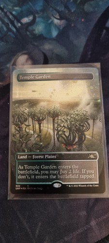 Mtg temple garden - garden, galaxy