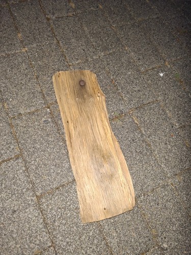 Treibholz schwemmholz - treibholz,