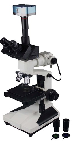 Radical 1200x metallurgisches - radical,