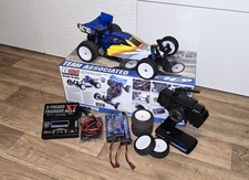 Team Associated Asso RC Buggy