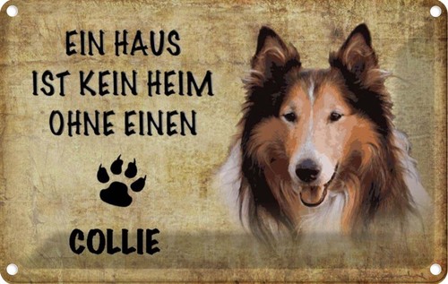 Blechschild 20x30 collie - blechschild,