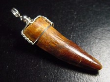 Spinosaurus Zahn Anhänger 925