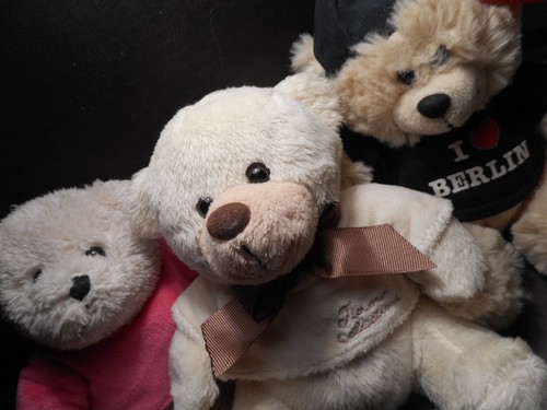 Stofftier teddy bär - ,