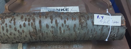 Apfelbaumholz stangen - apfelbaumholz,