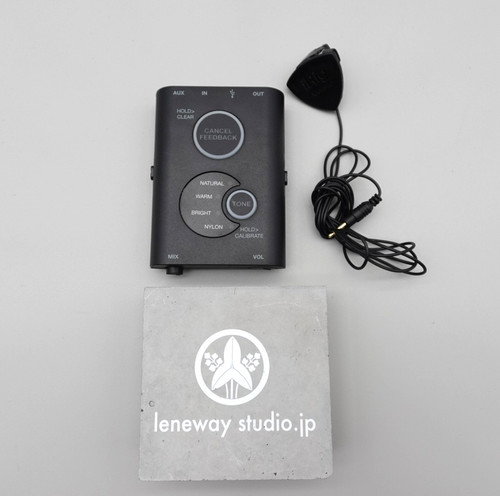 Multimedia irig acoustic - multimedia,