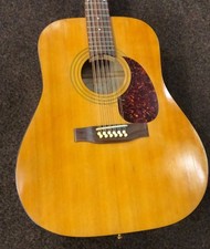 Norman Acoustic 12 sting