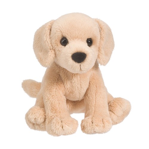 Labrador yellow sitzend - , hund