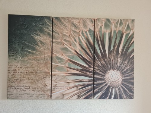 3er set wandbild - 3er,