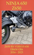 Sportauspuff  Kawasaki Z
