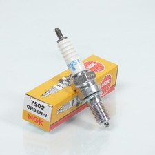 Ngk zündkerze für - ngk-zündkerze,