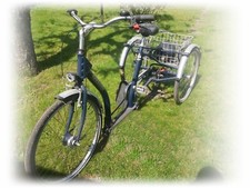 Dreirad Pfau-Tec-Classic